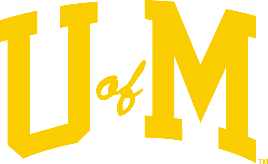 Michigan Wolverines 1994-2013 Secondary Logo t shirts iron on transfers